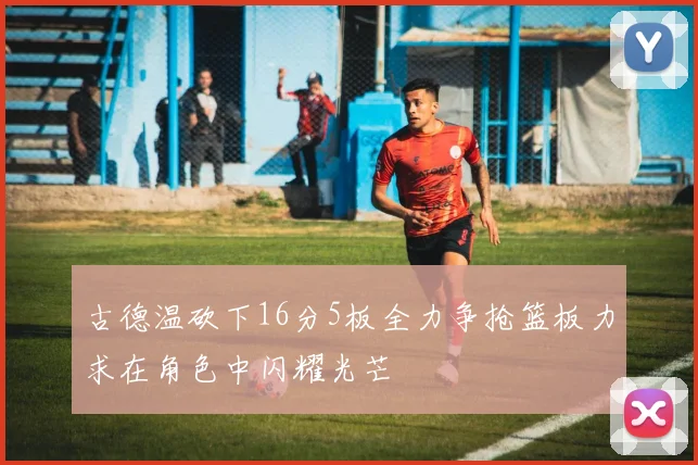 古德温砍下16分5板全力争抢篮板力求在角色中闪耀光芒