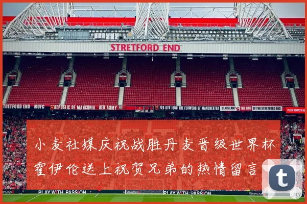 小麦社媒庆祝战胜丹麦晋级世界杯霍伊伦送上祝贺兄弟的热情留言