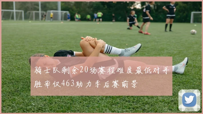 骑士队剩余20场赛程难度最低对手胜率仅463助力季后赛前景