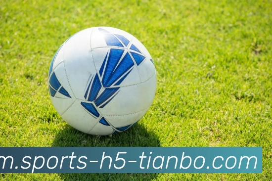 舒梅切尔分析切尔西夺冠障碍强调全队防守提升比桑切斯表现更为重要